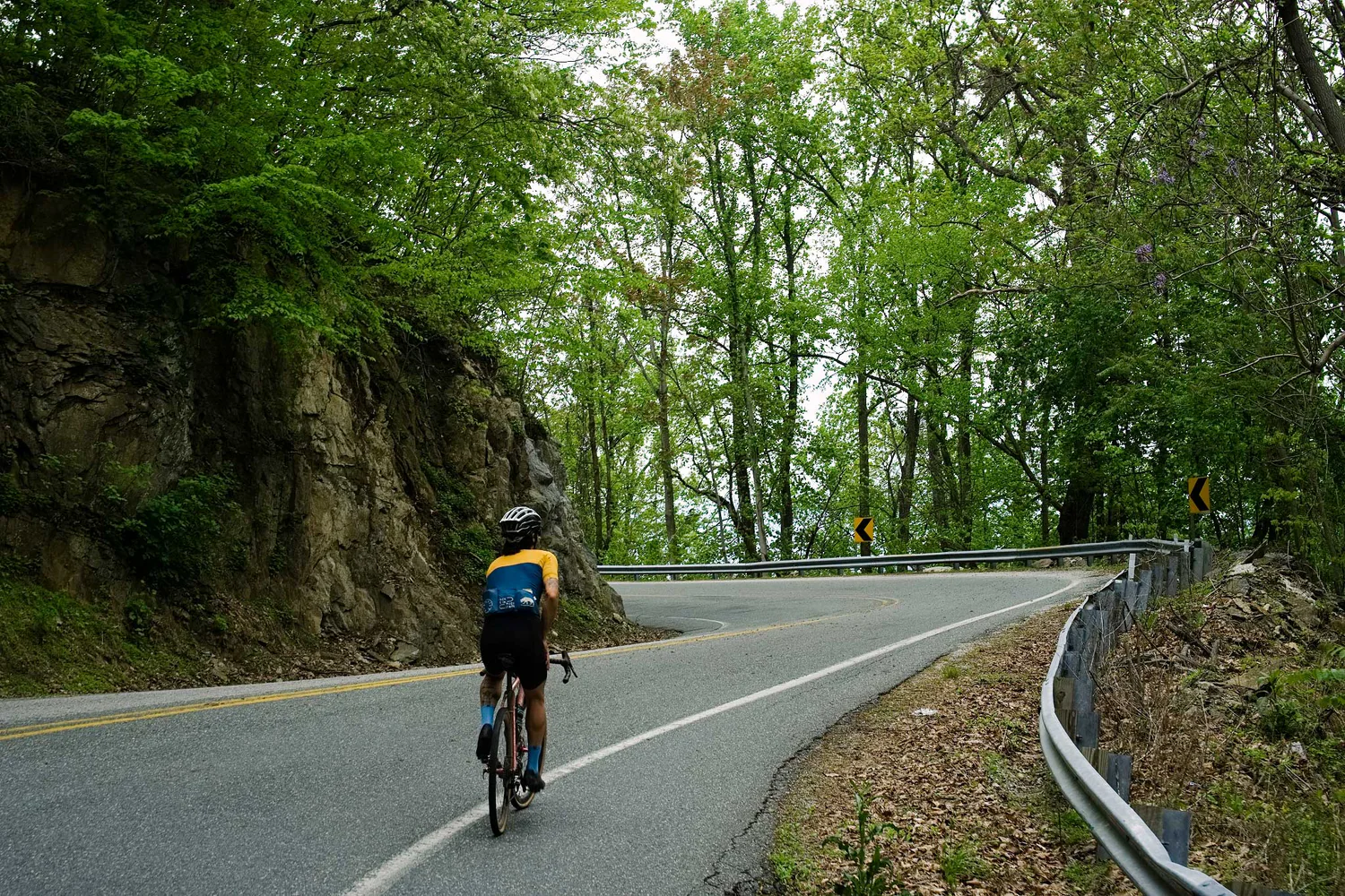 Built for the Untamed Road